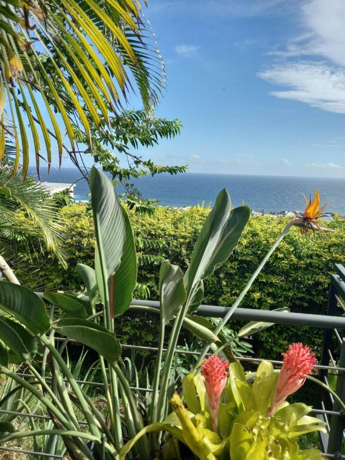 Suite Indigo Jacuzzi Prive Piscine Vue Mer Acces Cuisine Laverie Saint Pierre Luaran gambar