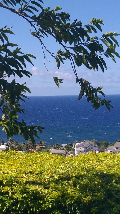 Suite Indigo Jacuzzi Prive Piscine Vue Mer Acces Cuisine Laverie Saint Pierre Luaran gambar